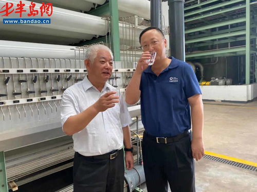 聚焦市场与创新 中国造纸学会理事长曹振雷一行深入亚太森博走访调研